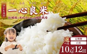 ＜全12回定期便＞ 真庭市産コシヒカリ 米ぬか 牡蠣栽培米 『 一心良米 』 白米 10kg (5kg×2袋）×12回 令和7年産 / お米 いっしんりょうまい 岡山県 こしひかり 人気 ブランド2025年産 【tkns-tkb035-cho】