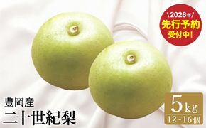 【2026年先行予約】二十世紀梨 5kg（12個～16個） / 梨 産地直送 みずみずしい シャリシャリ 食感 さっぱり バランスの良い 酸味 甘味 減農薬 なし ナシ 果物 くだもの フルーツ ふくい農園