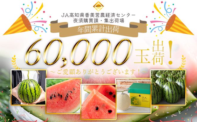 スイカ 定期便 (中玉) 2玉 【3回定期便】ルナ・ピエナスイカ Wyu-0039