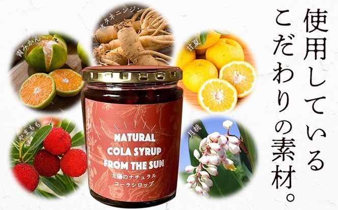 【CF】太陽のナチュラルコーラ＆満月のエキゾチックジンジャエール 濃縮タイプ 1瓶約７～8杯分 TABEL株式会社《30日以内に出荷予定(土日祝除く)》 │ クラフトコーラ クラフトジンジャーエール 炭酸割り コーラシロップ お取り寄せ 徳島県 佐那河内村---sanagouchi_tbl_2_2hn---
