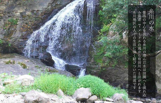 お米 5kg 思いを繋ぐ糸川のお米 結意米 【ゆいまい】和歌山県産 【みかんの会】	AX167 