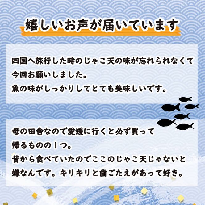 山田のじゃこ天 85枚