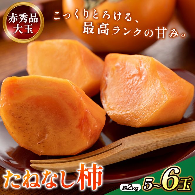 先行受付!　柿　種無し　赤秀品　大玉　5～6個　約2kg