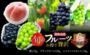 【定期便】【2026年発送★先行予約】 旬のフルーツ3回定期便（桃・ブラックビート・シャインマスカット） 227-017-03