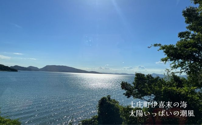 小豆島産オリーブオイル 100% 搾りたて小豆島産三代松家オリーブオイル (エクストラバージンオイル・無濾過) 120ml 3本
