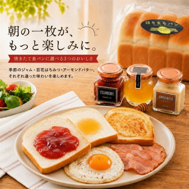 季節のジャム 百花はちみつ アーモンドバター 3点セット withはりまる食パン 蜂蜜 ハチミツ