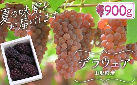 yR`쒬zFYN9-918 2026Ns\R`Y fEFA 900g(5`8 [) Gi 2026N8{珇 햳  Hׂ₷ Ԃǂ uhE   ʕ t[c ĉʎ   蕨 Mtg  ƒ Yn R` 쒬 R