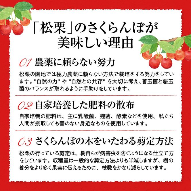 【2025年産　先行予約】真の桜桃 佐藤錦 超特秀 1kg 山形県 東根市　hi004-hi062-032-1