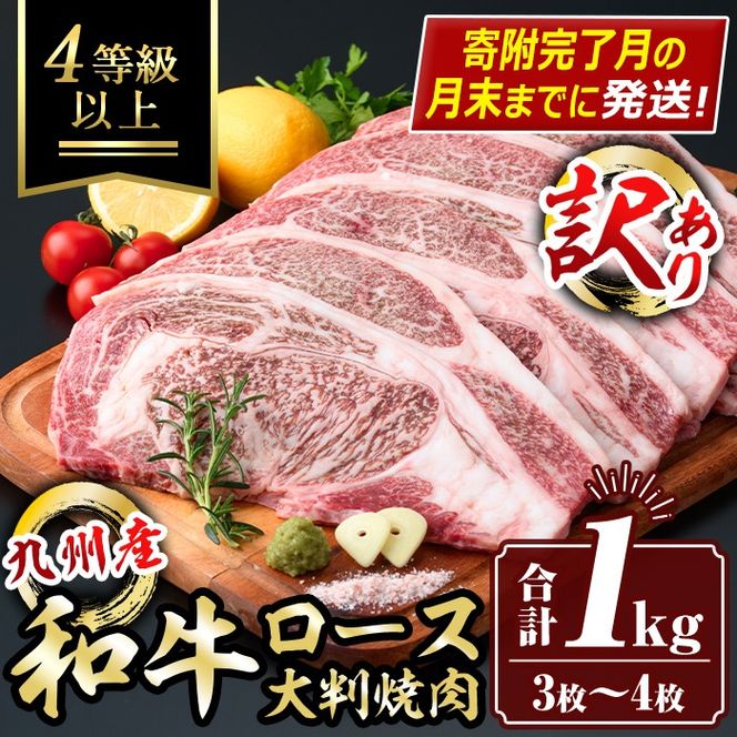 isa574 【寄附完了月の月末までに発送！】＜訳あり＞九州産和牛ロース大判焼肉(合計1kg・3枚～4枚) 4等級以上 国産 真空包装 真空パック リブロース ステーキ 牛 うし 牛肉 アウトドア BBQ 冷凍 【サンキョーミート株式会社】