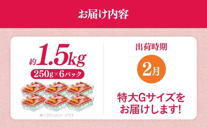 福岡県産 あまおう 1500g （250g×6パック） いちご 2月中発送 いちご 苺 フルーツ 果物 くだもの 大粒Gサイズ グランデ 農家直送 大粒 不揃い 福岡県 福岡 九州 グルメ お取り寄せ