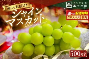 【お届け時期が選べる】 ジューシーで甘さ抜群　厳選シャインマスカット 500g 【クリスマス / 年内 / 新年 / お年賀 】　期間限定 シャインマスカット ぶどう フルーツ 果物 山梨 富士吉田