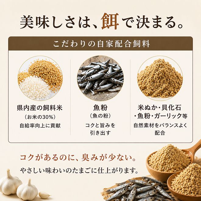 卵 わずか4%の希少な純国産鶏 いけだの森たまご 30個 こだわり おこめのたまご 玉子 鶏卵 生卵 産地直送 冷蔵配送 TKG 卵かけご飯 岐阜県産 
