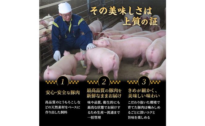 肩ロースの炊き込みごはんの素(2合用)×3個 豚肉 ロース レトルト