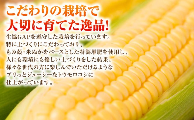 【先行予約】プリッとジューシー！ 熊本県 八代市産 スイートコーン ゴールドラッシュ 約4.5kg (13～16本) とうもろこし トウモロコシ コーン 甘い 朝採り 高糖度 BBQ  熊本県 八代市 【2026年6月上旬より順次発送】
