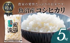 魚沼産コシヒカリ5kg