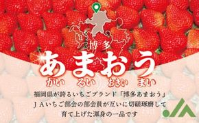 博多あまおう（冬） 約250g～270g×6パック 計約1.5kg～1.62kg【2026年12月上旬-2027年1月下旬発送予定】 いちご 苺 イチゴ 果物 フルーツ