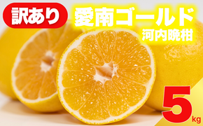 【 先行予約 】 訳あり 減農薬 愛南ゴールド 河内晩柑 5kg サイズ ミックス 家庭用 産直 農家直送 和製 グレープフルーツ 家庭用 甘い 爽やか 瑞々しい ジューシー 濃厚 旨味 酸味 旬 初夏 柑橘 みかん 蜜柑 不揃い サイズ混合 フレッシュジュース ジュース ゼリー ジャム マーマレード デザート 焼酎割り サワー 先行予約 予約受付 期間限定 数量限定 愛媛県 愛南町 愛南フルーツ