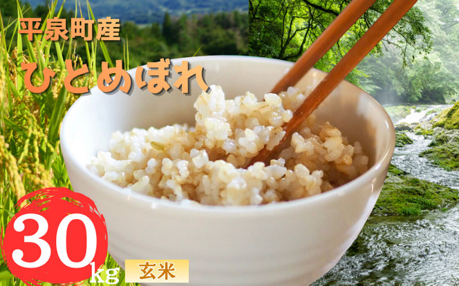 【令和8年産 先行予約】【11月以降順次発送】平泉町産 ひとめぼれ 玄米30kg / こめ コメ 米 お米 おこめ 白米 ご飯 ごはん ライス 山水【aoki018】