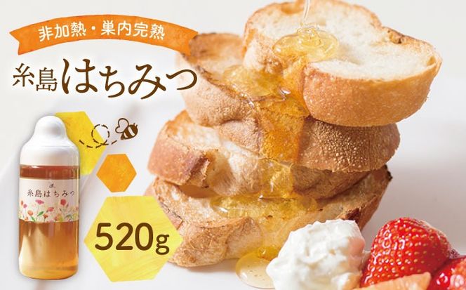 糸島 はちみつ 520g【ヴァンベールフーズ】百花 / 蜂蜜 [AFJ002] 蜂蜜 はちみつ ハチミツ 国産 非加熱 無添加 紅茶 日本蜜蜂