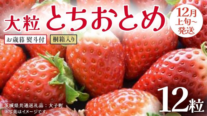 y錧vszy Ε lt z ˔ 嗱 ƂƂ 12y2025N12{Jnz(錧ʕԗiFq)   ʕ t[c ʎ p Mtg 蕨