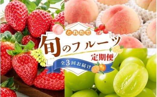 ya̎RI쒬zyt[cցES3ziɎMI̗璼@EVC}XJbgE܂Ђ߂G߂Ƃɂ͂! /    VC}XJbg }XJbg  C`S  ʕ t[c 3ykgr037z