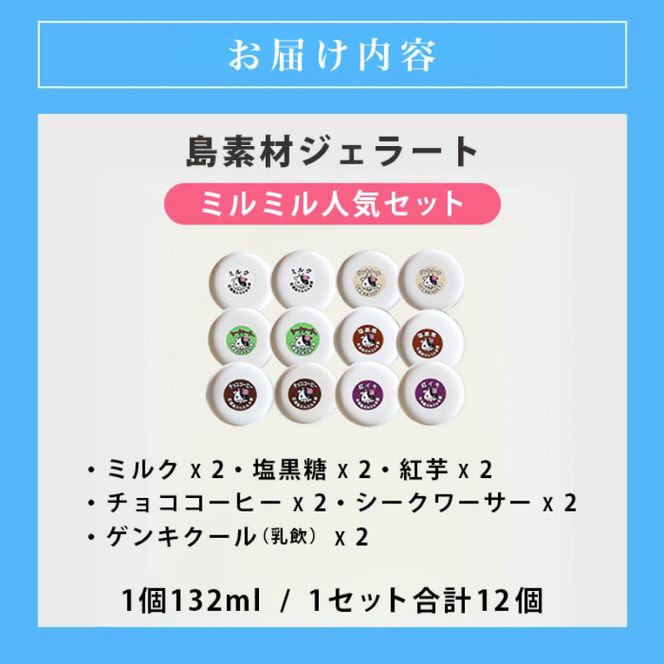 石垣島ミルミル本舗　ミルミル人気ジェラートセット（132ml×12個）　【石垣島 石垣市 沖縄県石垣市 セット ジェラート 石垣島産 八重山】