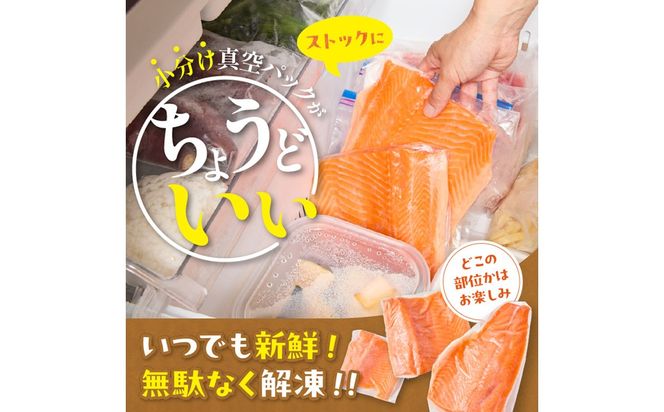 無投薬 国産 トラウトサーモン 小分け 400g以上 刺身用【宗像陸上養殖】_AS2096-00 無投薬 国産 鮭 サーモン 200 400 福岡県宗像市 宗像市 福岡 宗像
