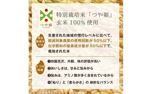 FYN9-674 【定期便】栄養満点！スーパー大麦もち麦・玄米ごはん 24個セット×6回 山形県産つや姫 パックライス パックごはん お米 玄米 保存食 備蓄 常温 レンジ 簡単