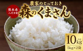 【令和7年産】 熊本県八代市産 森のくまさん 農家のとっておき 5kg×2袋 米 お米 精米  国産 白米 ごはん ご飯