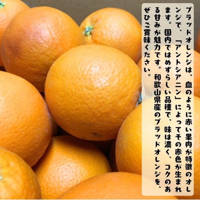 ［高級柑橘］和歌山県産ブラッドオレンジ タロッコ 約2kg［MS93］ 303446_XD90244