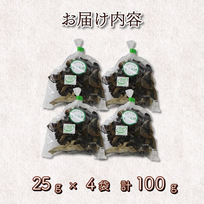 乾燥キクラゲ 100g 25g×4袋 きくらげ 丸干し 木耳 さのさんち きのこ 安心 安全 JGAP認証農場 国産 小分け キノコ 調理 簡単 便利 静岡県 藤枝市