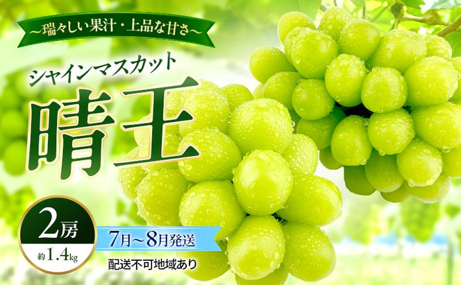 ぶどう 2026年 先行予約 シャインマスカット 晴王 2房 約1.4kg 7月～8月発送 岡山県産 種無し 皮ごと食べる みずみずしい 甘い 温室栽培 晴れの国 おかやま 果物大国 満天フルーツ