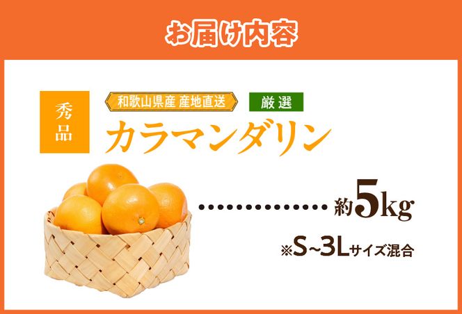 【2027年先行予約】和歌山県産　カラマンダリン　約5kg　秀品_ZE6501