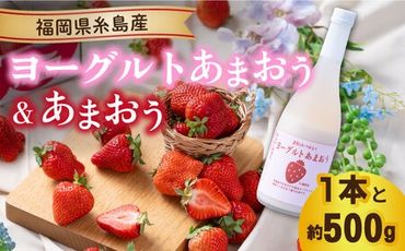 【2024年2月上旬より順次発送】【春】ヨーグルトあまおう720ml ×あまおう 約250g×2パック 糸島市 / 南国フルーツ株式会社 [AIK015]