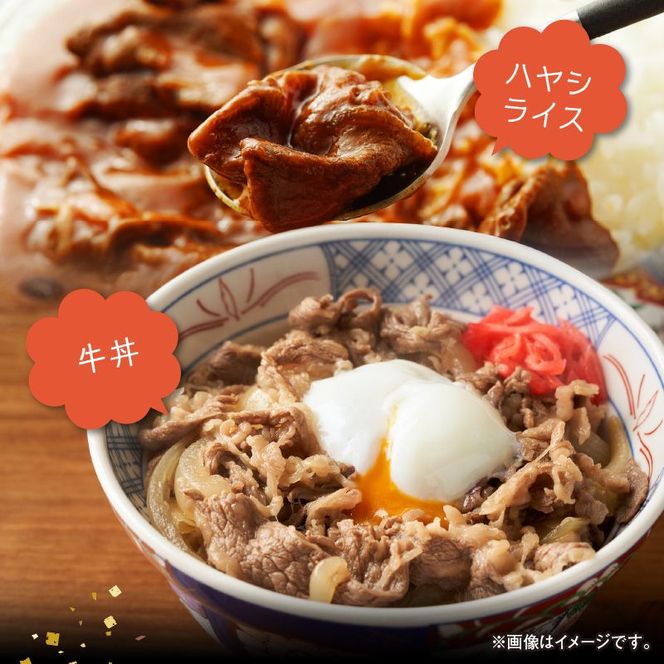 宮崎牛 切り落とし500g N0140-YA1107