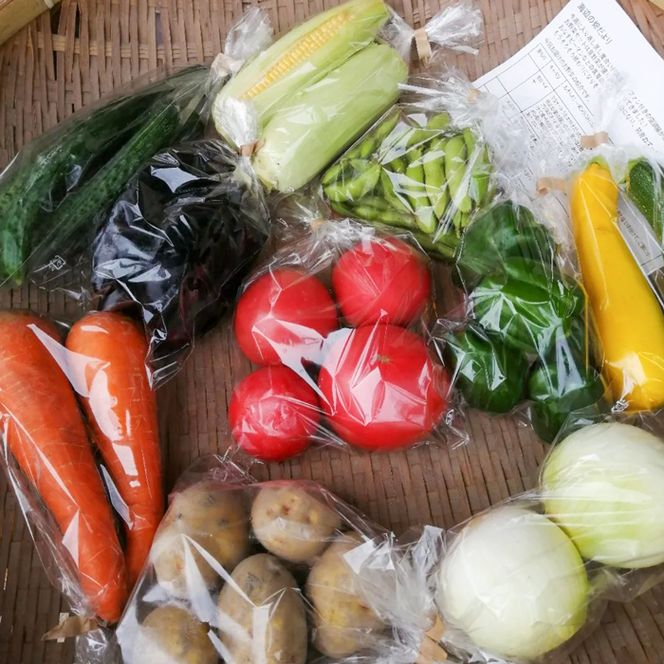 【定期便】ご家庭向けお野菜セット～旬のおまかせBOX～毎月12回分（1年間）