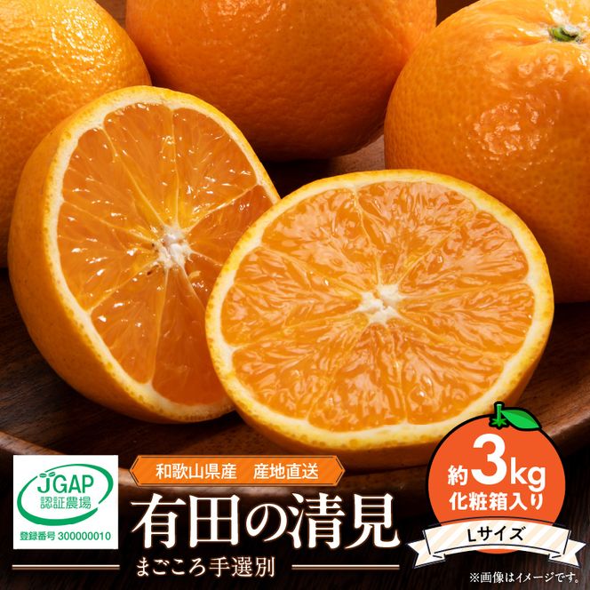 【2027年先行予約】和歌山県産 有田の 清見 3kg化粧箱入り Lサイズ_ZE6006n