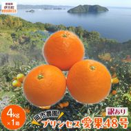 【先行予約】【数量限定】【訳あり】岡市農園！プリンセス愛果48号 約4kg（2027年2月下旬より順次発送） IKTV013