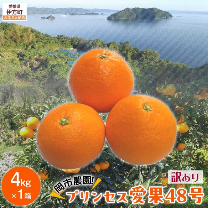 【先行予約】【数量限定】【訳あり】岡市農園！プリンセス愛果48号 約4kg（2027年2月下旬より順次発送） IKTV013