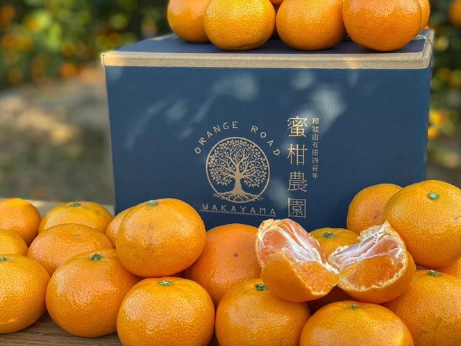 ［年内発送］和歌山県産 有田みかん 大粒サイズ 2.5kg  BA42