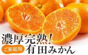 【12月発送】有田育ちの完熟有田みかん 家庭用 サイズ混合(2S～2L)　約3.2kg(3kg+200g)(傷み補償分) 【ard194D-12】
