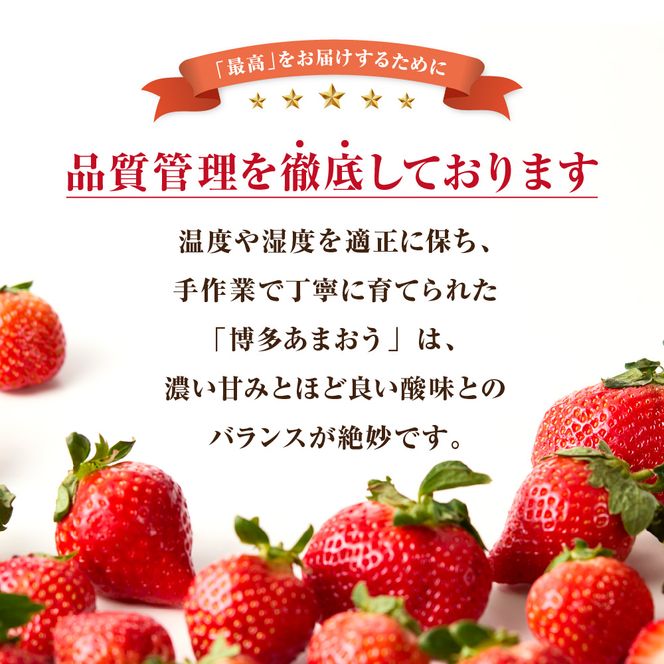 【アフター保証】 「博多あまおう」約280g×4パック【JAほたるの里】_HA0433