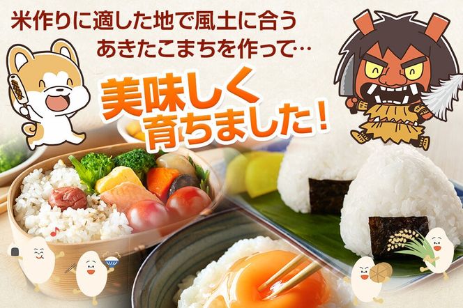 あきたこまち 10kg（5kg×2袋） 令和7年産 【定期便5ヶ月】 お米 米 秋田県男鹿市 [米 あきたこまち ブランド米 減農薬 香り 甘み 粘り おにぎり おむすび お弁当 10kg]|23_fjk-011005