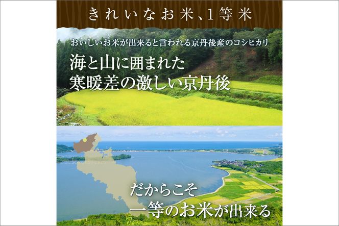 【定期便6回】令和8年産 丹後こしひかり 5kg×6ヵ月 1等米 お米 コメ こめ 丹後 コシヒカリ 精米 ふるさと 納税 コシヒカリ 精米 ふるさと 納税 こしひかり 精米 ふるさと 納税 米　MU00105