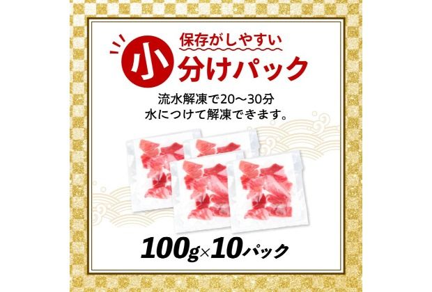 まぐろ ！ 天然本マグロ 中トロ・赤身 切落とし【１kg（100g×10パック）】 まぐろ マグロ 鮪 中トロ 中とろ 赤身 刺身 刺し身 魚 惣菜 海鮮 魚介類 小分け 訳あり 不揃い 冷凍 高知 室戸 mgr tk153