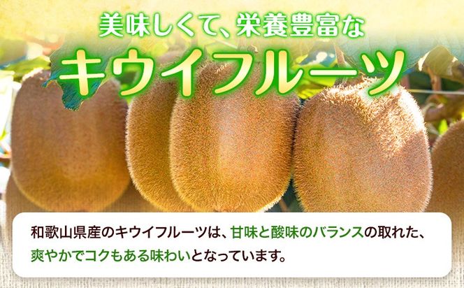 先行予約 和歌山県産 キウイフルーツ 約3.6kg 約20玉～36玉前後 前商店《2026年2月上旬-3月末頃出荷》キウイ キウイフルーツ フルーツ スイーツ 果物 送料無料---wsk_mes18_2j3m_25_14000_20t---