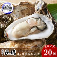 定期便 3ヶ月 北海道 厚岸産 牡蠣 Lサイズ 20個 (各回20個×3ヶ月分,合計60個) 殻付き 生食 カキナイフ付き かき カキ 生牡蠣 魚介類 貝 マルえもん