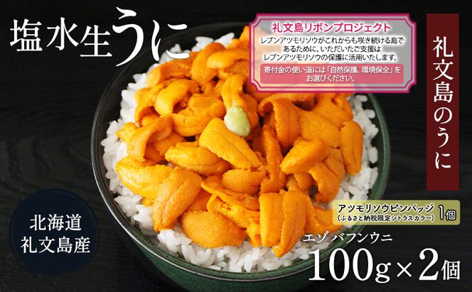 【礼文島リボンプロジェクト】北海道 礼文島産 ミョウバン不使用 塩水ウニ エゾバフンウニ 100g×2パック(ピンバッジ付)［野崎水産］【 うに ウニ 雲丹 生うに 塩水うに バフンウニ 自然保護 寄付 海鮮 】