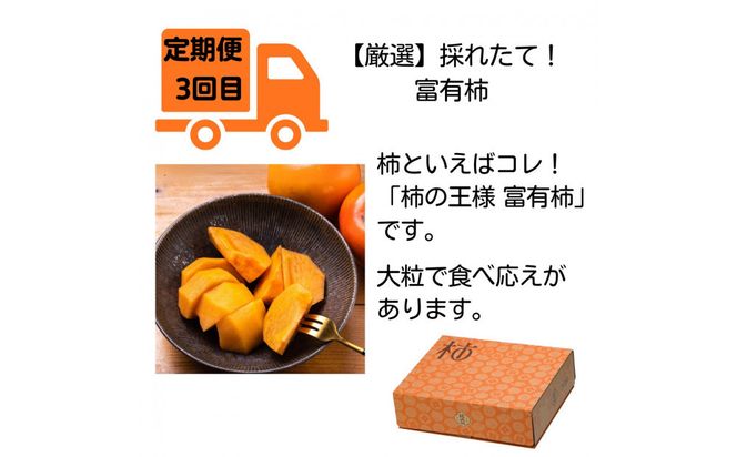 【全4回定期便】【柿専業の農家が作る】出雲の柿3種と旬をたのしむごほうび【2026年10月以降発送】 322032_BK009