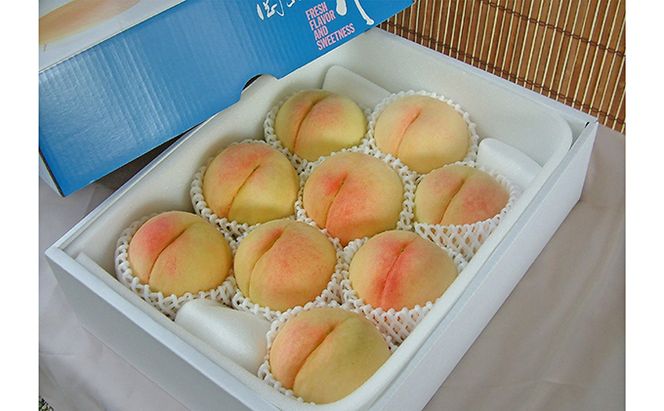 桃 2026年 先行予約 白桃 白鳳 約3.0kg 10～12玉 もも 岡山県 赤磐市産 フルーツ 果物 あかいわファーマーズガーデン 果物類